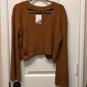Golden Distressed Cropped Sweater